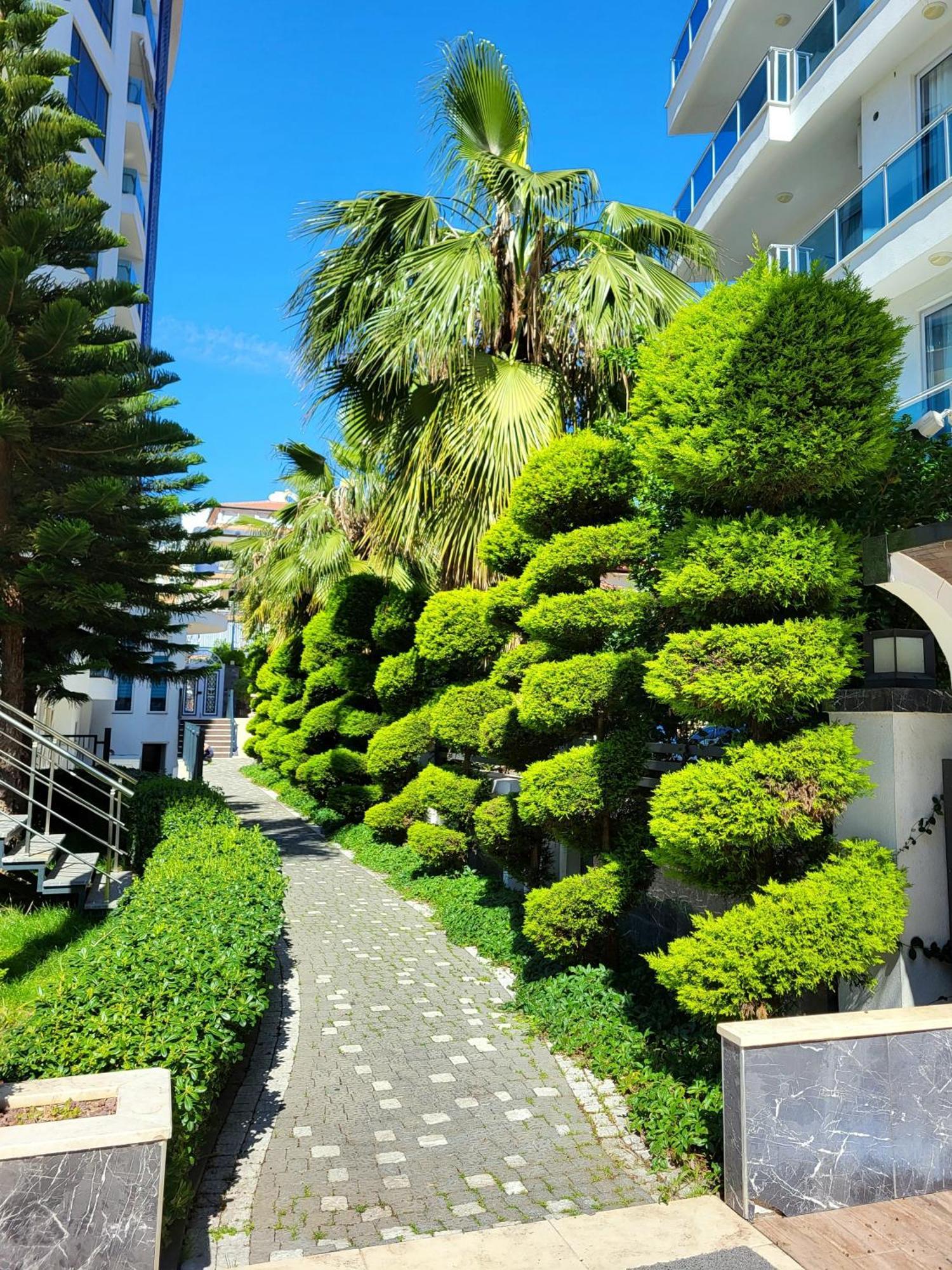 Elite Marine Residence - Cleopatra, Center Alanya Kültér fotó